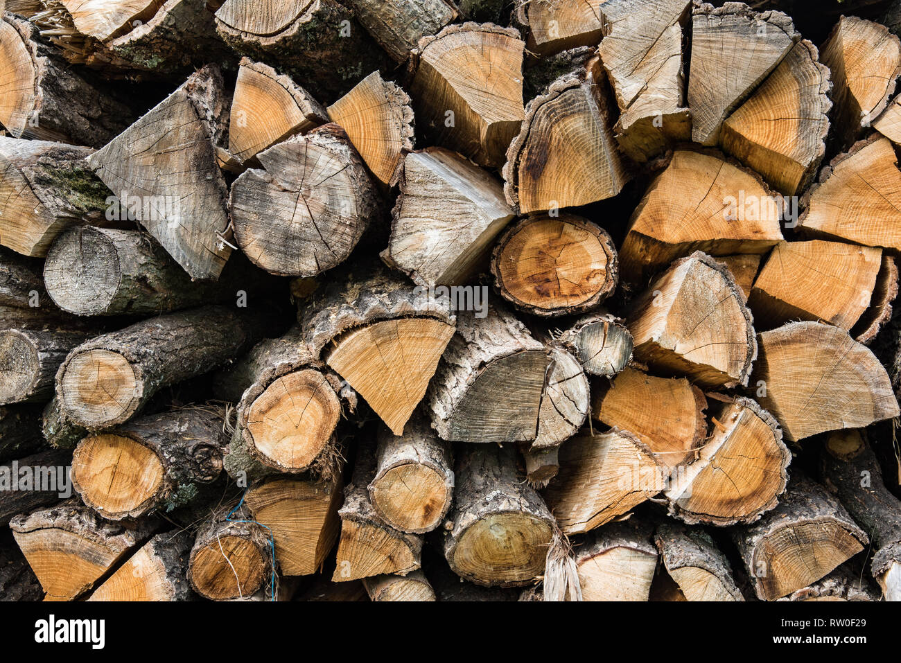 Oak firewood hi-res stock photography and images - Alamy