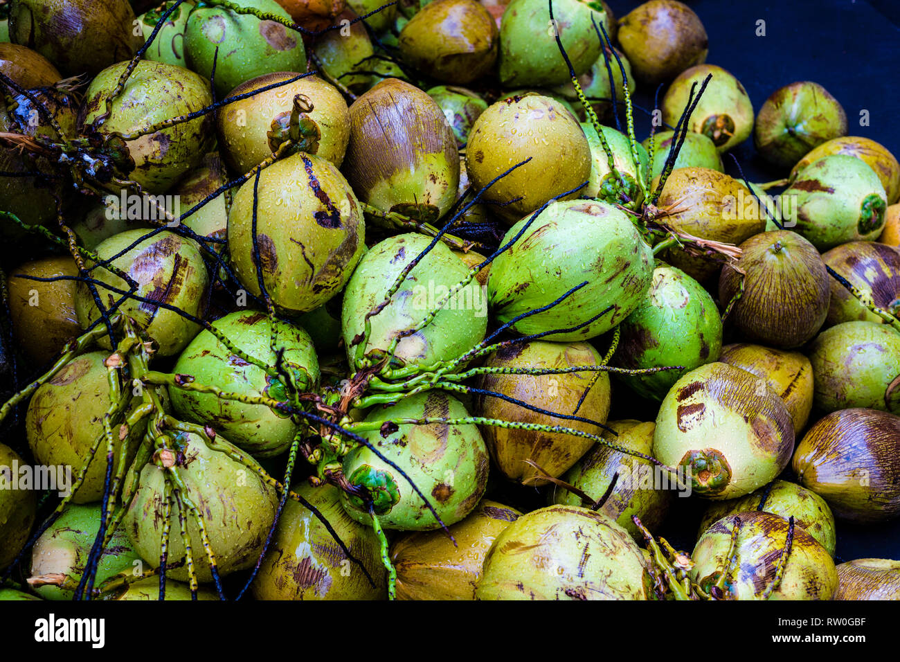 Coconuts at Coconut Vendor’s Stand, Kuala Lumpur, Malaysia Stock Photo