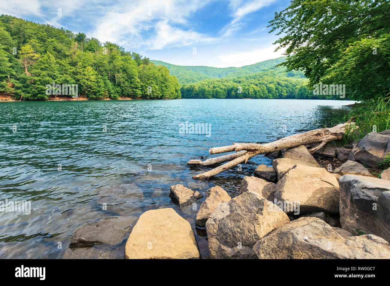 Beautiful view lake near forest hi-res stock photography and images - Alamy
