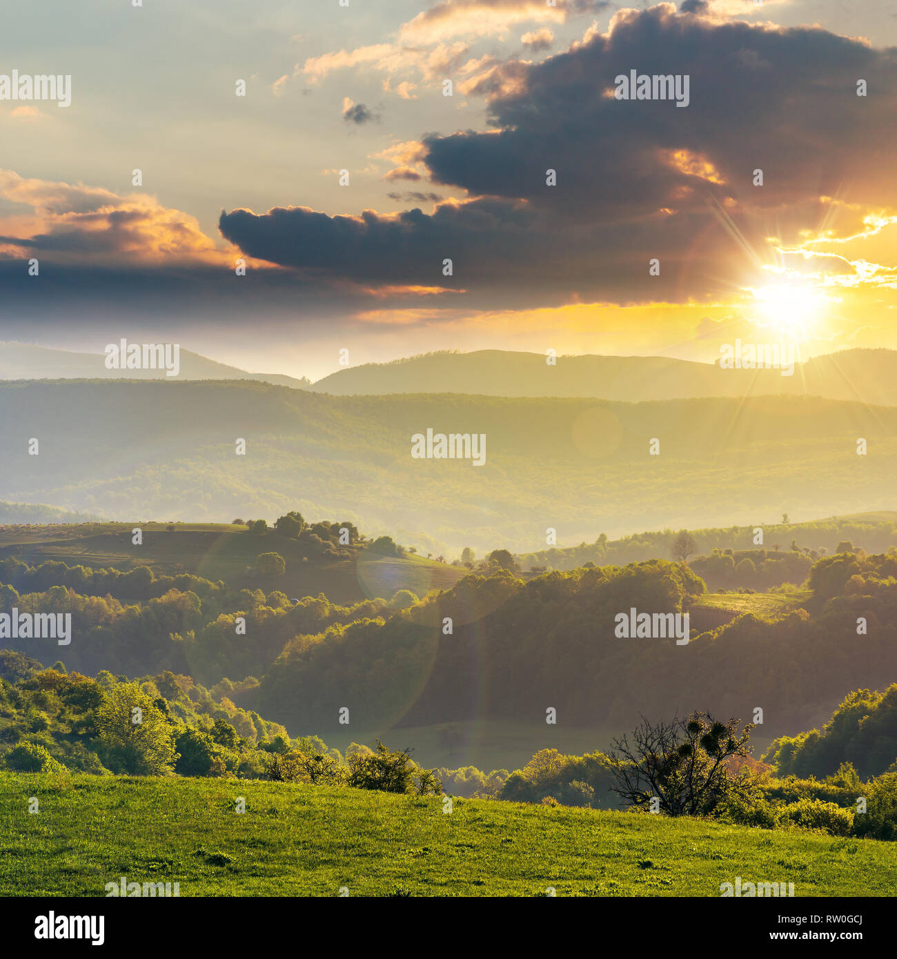 green rolling hills of romania countryside at sunset. agricultural
