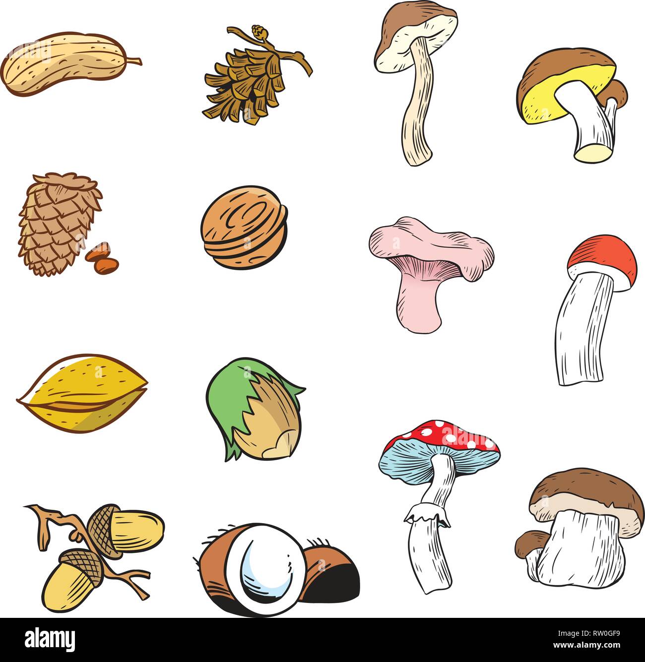 The illustration shows a set of various nuts and various kinds of mushrooms. Illustration done in cartoon style, on separate layers, isolated on white Stock Vector
