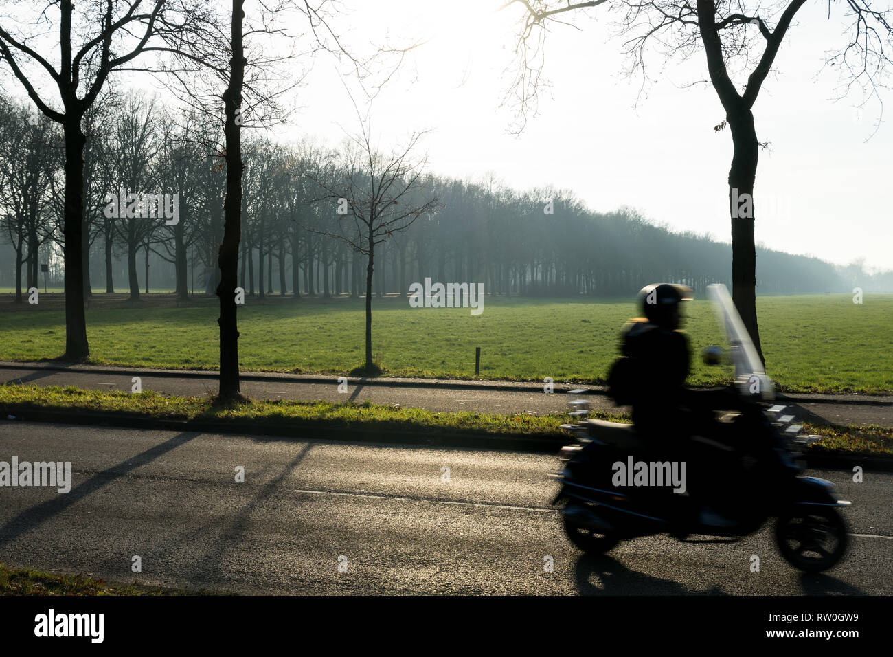 A silhouette of a motor cyclist with trees in the morning sun with mist Stock Photo
