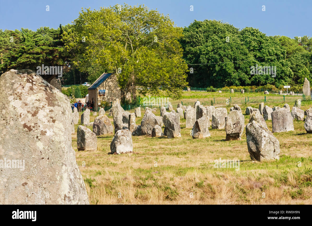 Beautiful view of the standing stones alignments, menhirs, in Carnac ...