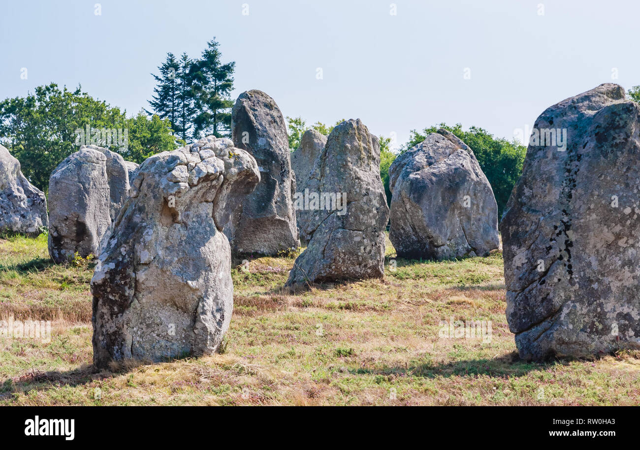 Beautiful view of the standing stones alignments, menhirs, in Carnac ...