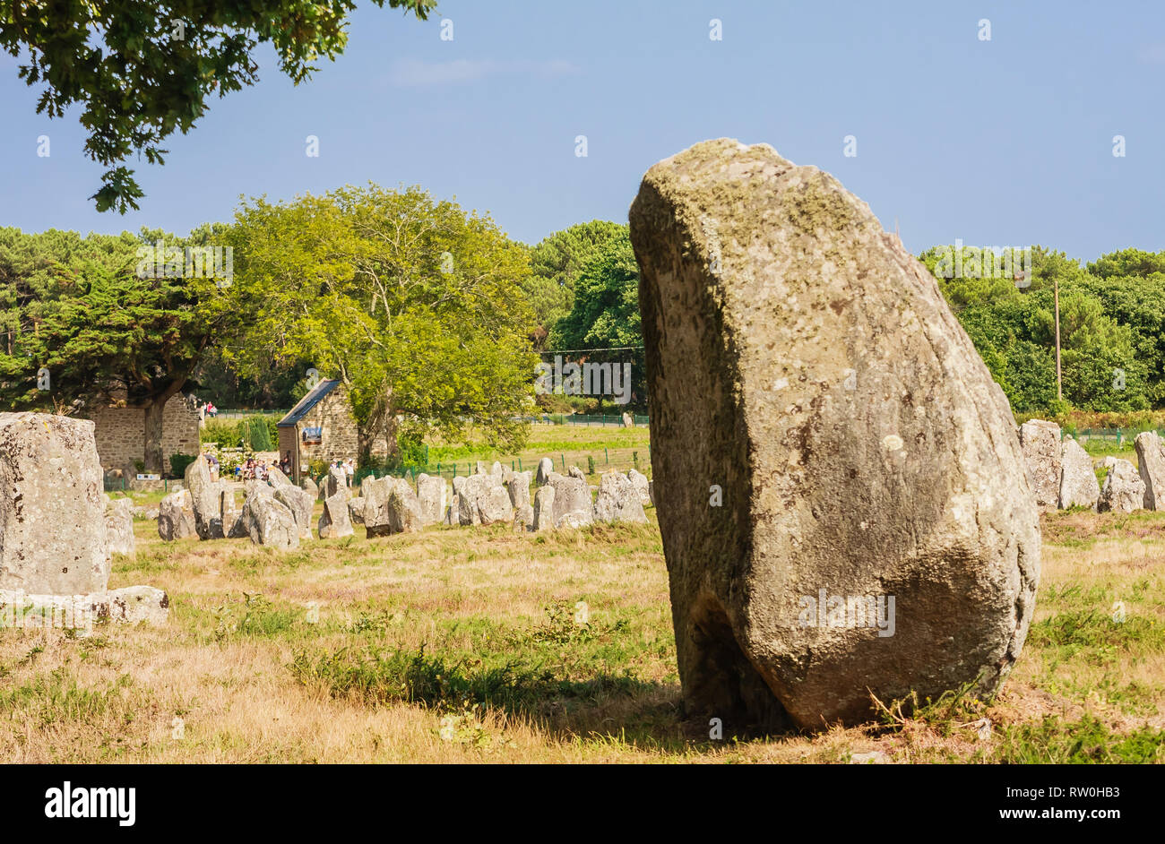 Beautiful view of the standing stones alignments, menhirs, in Carnac ...