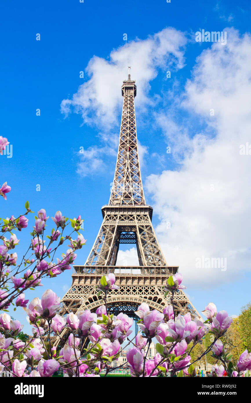 Tour eiffel with spring flowers hi-res stock photography and images - Alamy
