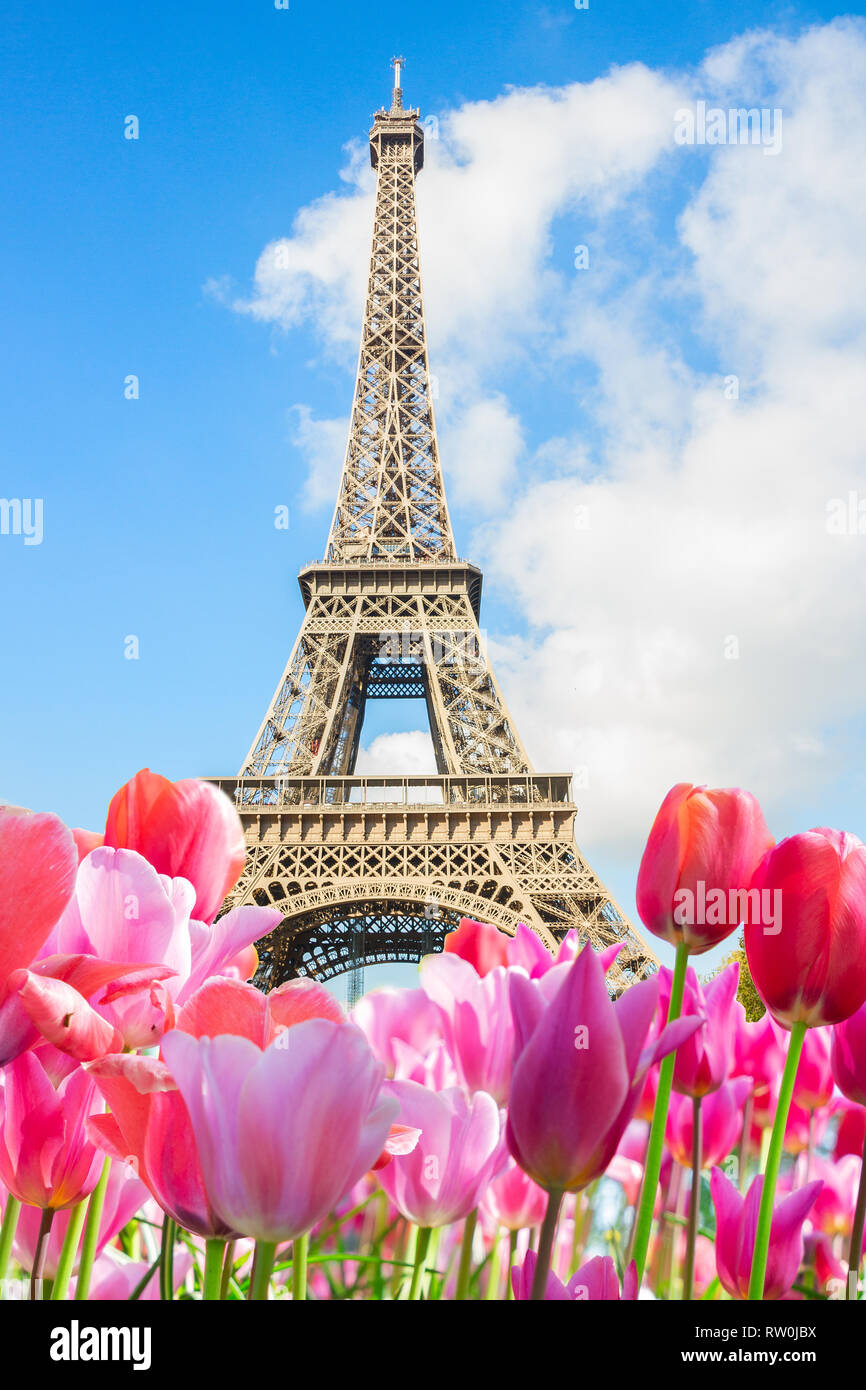 Eiffel tower close up, France Stock