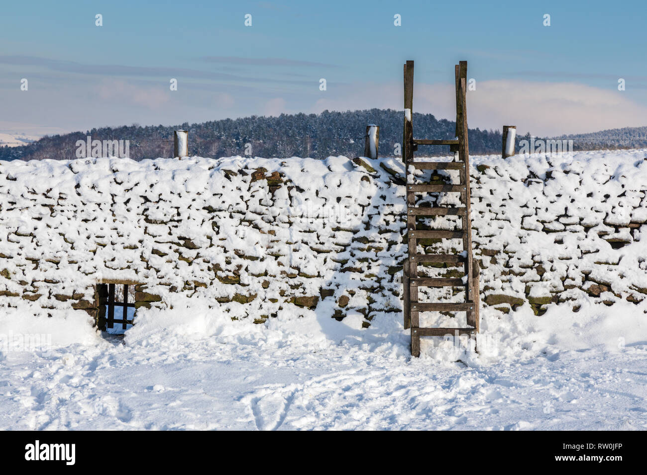 Snow covered dry stone wall in the Derbyshire Peak District,  Ladder style against a cold blue sky. Stock Photo