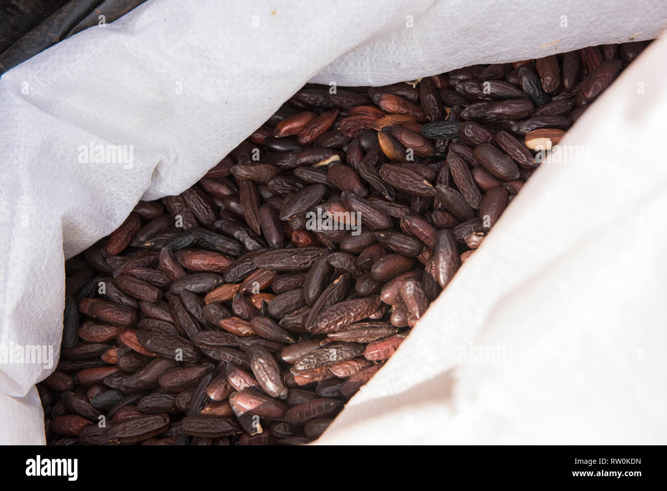 Instituto Raoni, Colider, Mato Grosso State, Brazil. Cumaru (Dipterix odorata, Tonka beans) kernels in a sack. Stock Photo