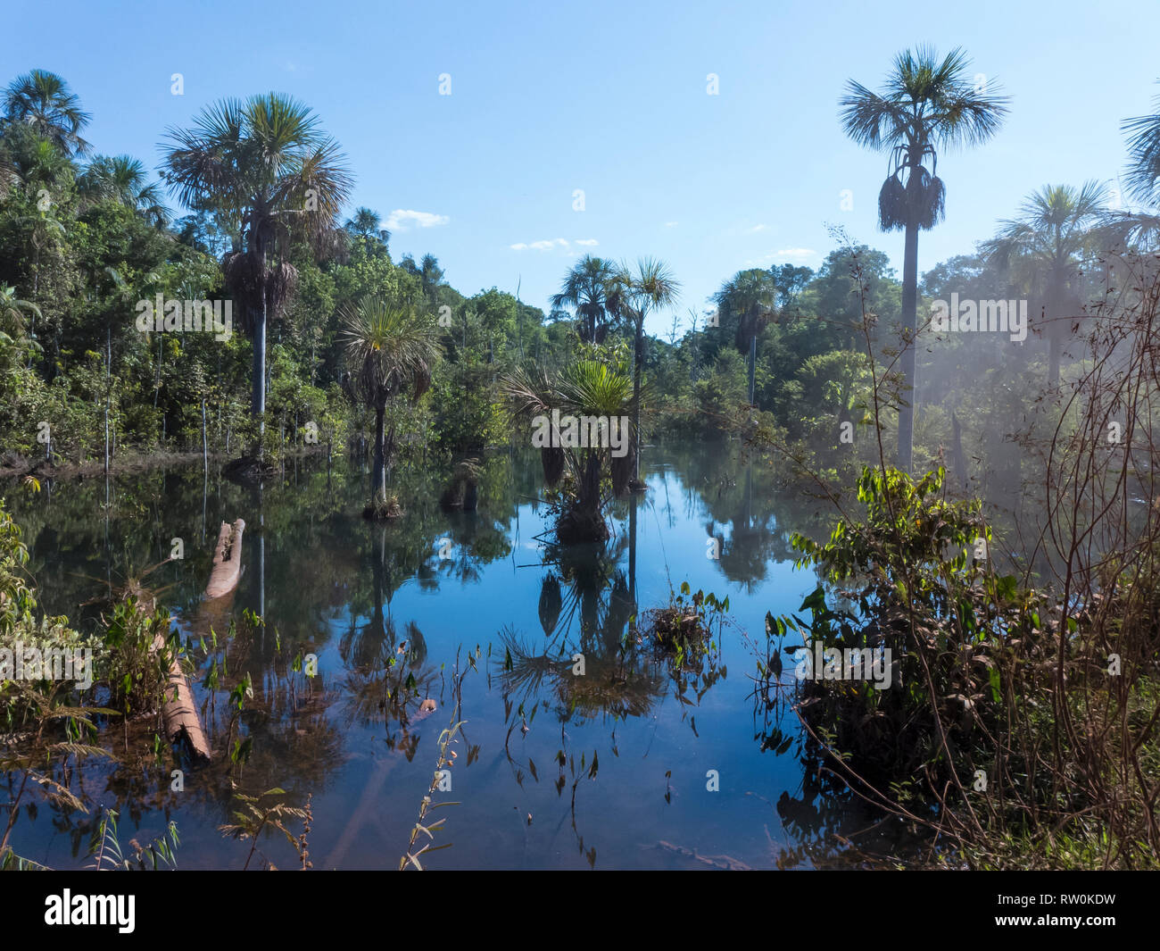 Mato Grosso State, Brazil. Amazon forest and water alongside the MT322/BR80 road. Stock Photo