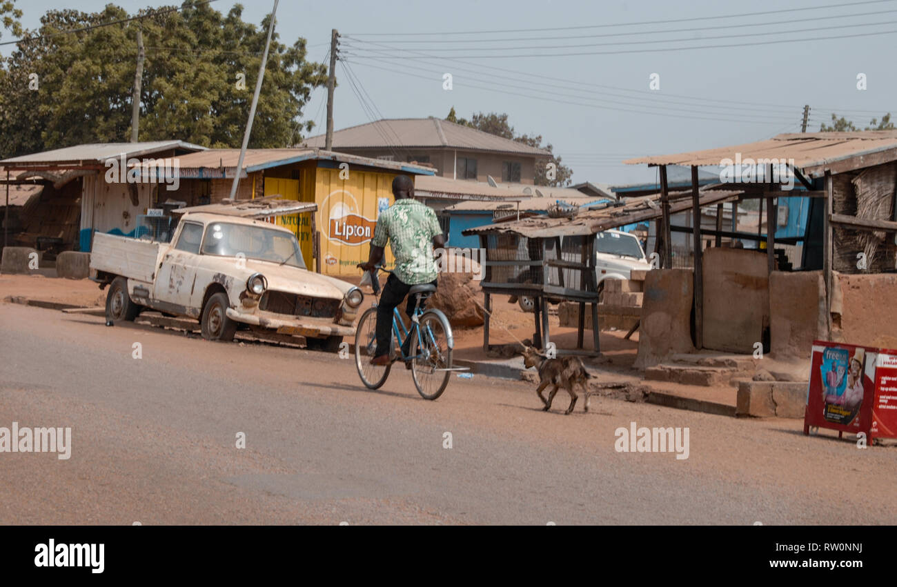 A man riding a bike is walking his coat on a street in Ghanaian town Bolgatanga, West Africa Stock Photo