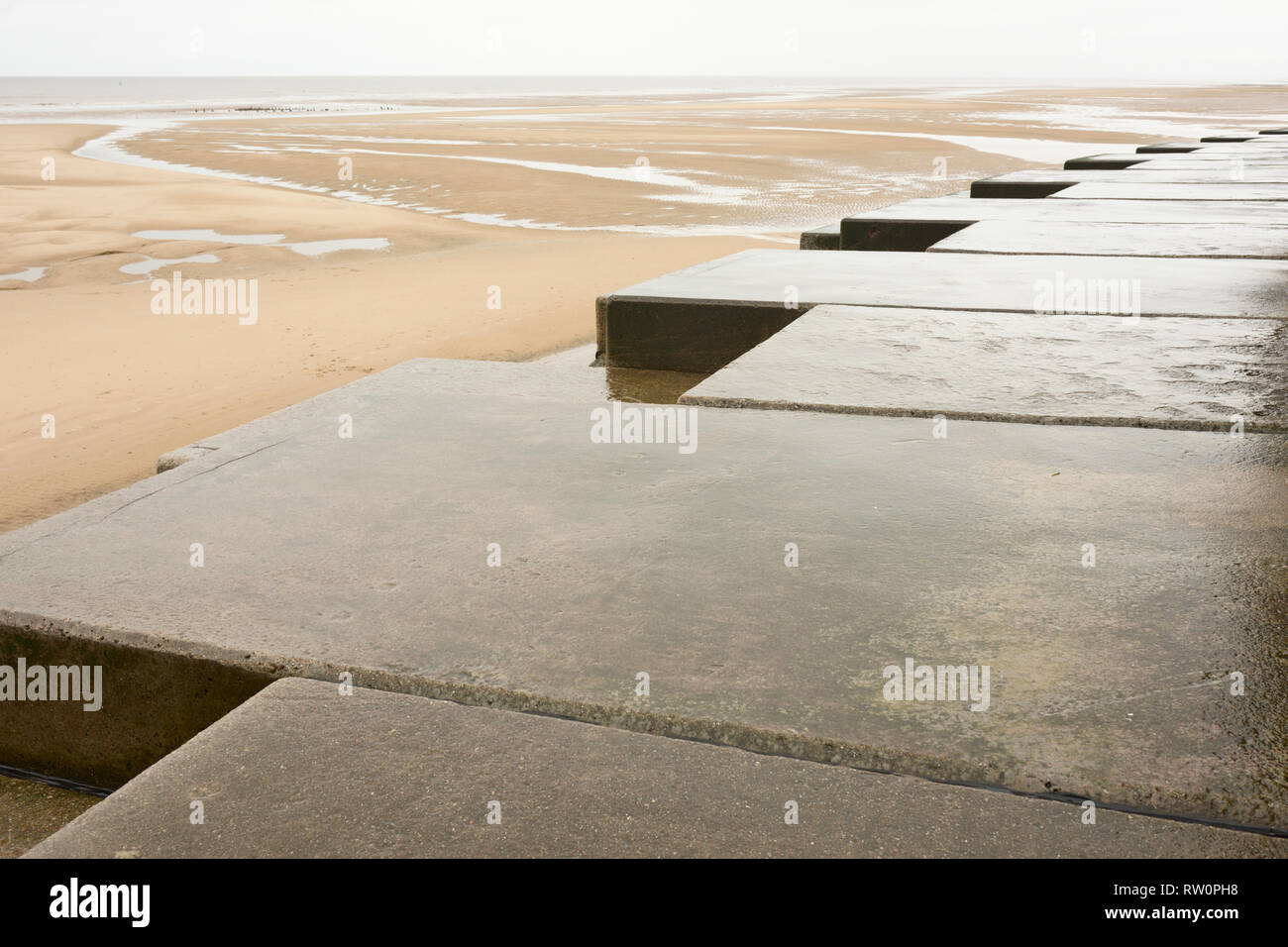 Green algae on wet concrete wavebreaker units, part of Anchorsholme