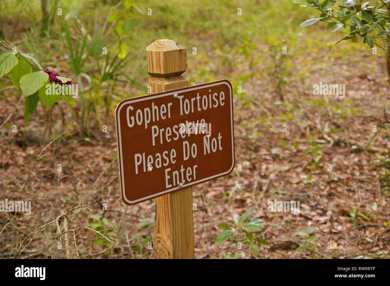 Metal sign on a wooden post for an animal preserve. "Gopher tortoise