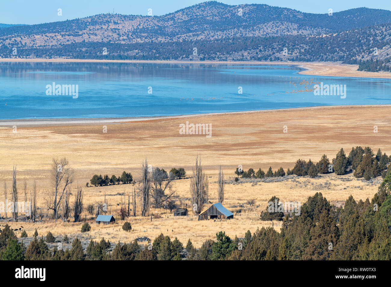 A farm near the shore of Eagle Lake in California, USA Stock Photo - Alamy