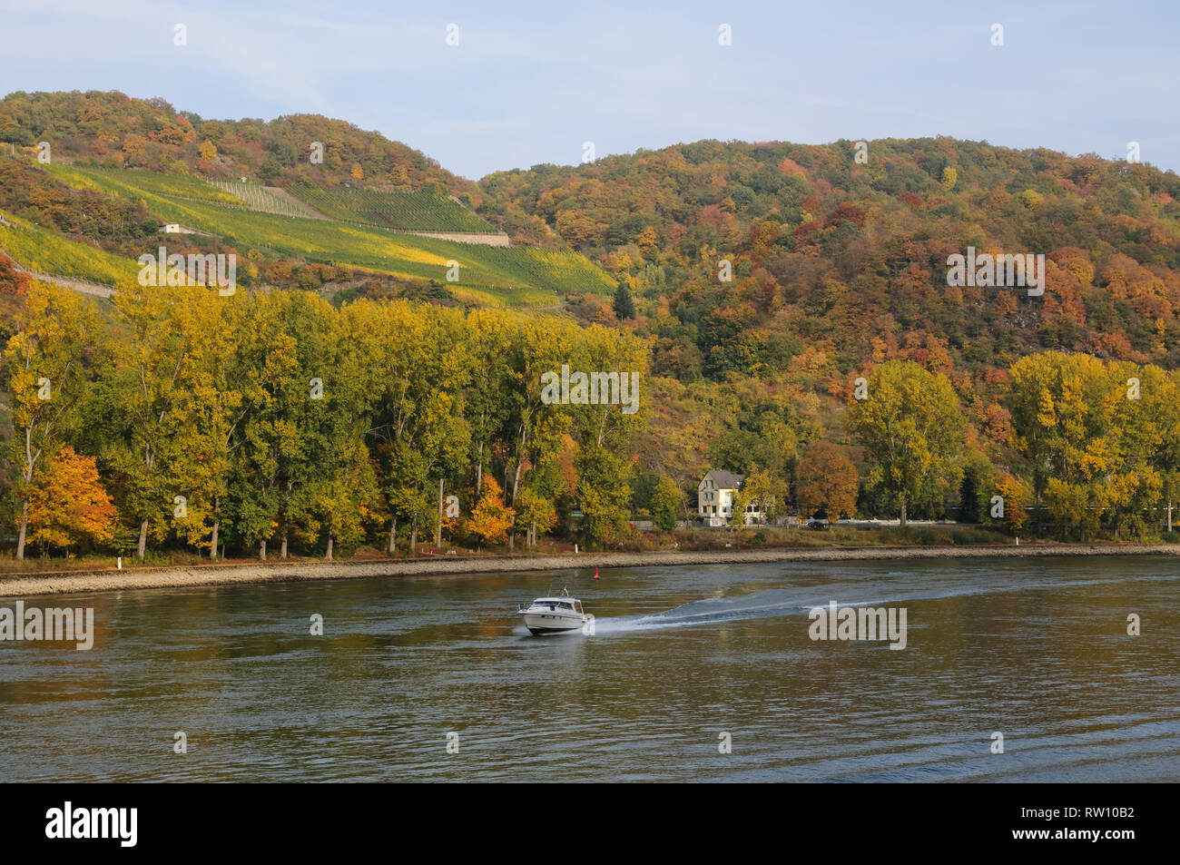 Rhein bei St. Goarshausen, Rheinland-Pfalz, Stock Photo