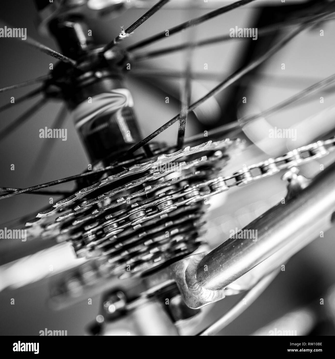 titanium spokes road bike