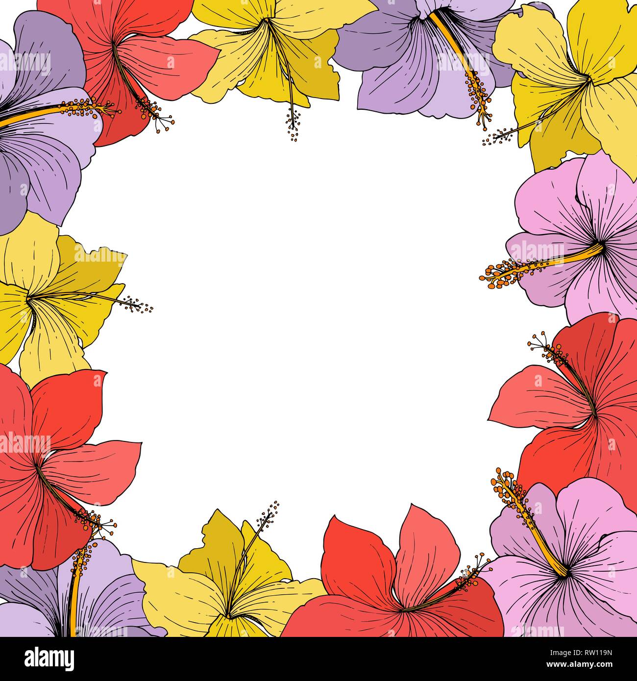 Vector Hibiscus Floral Tropical Flowers Engraved Ink Art On White Background Frame Border Ornament Square Stock Vector Image Art Alamy