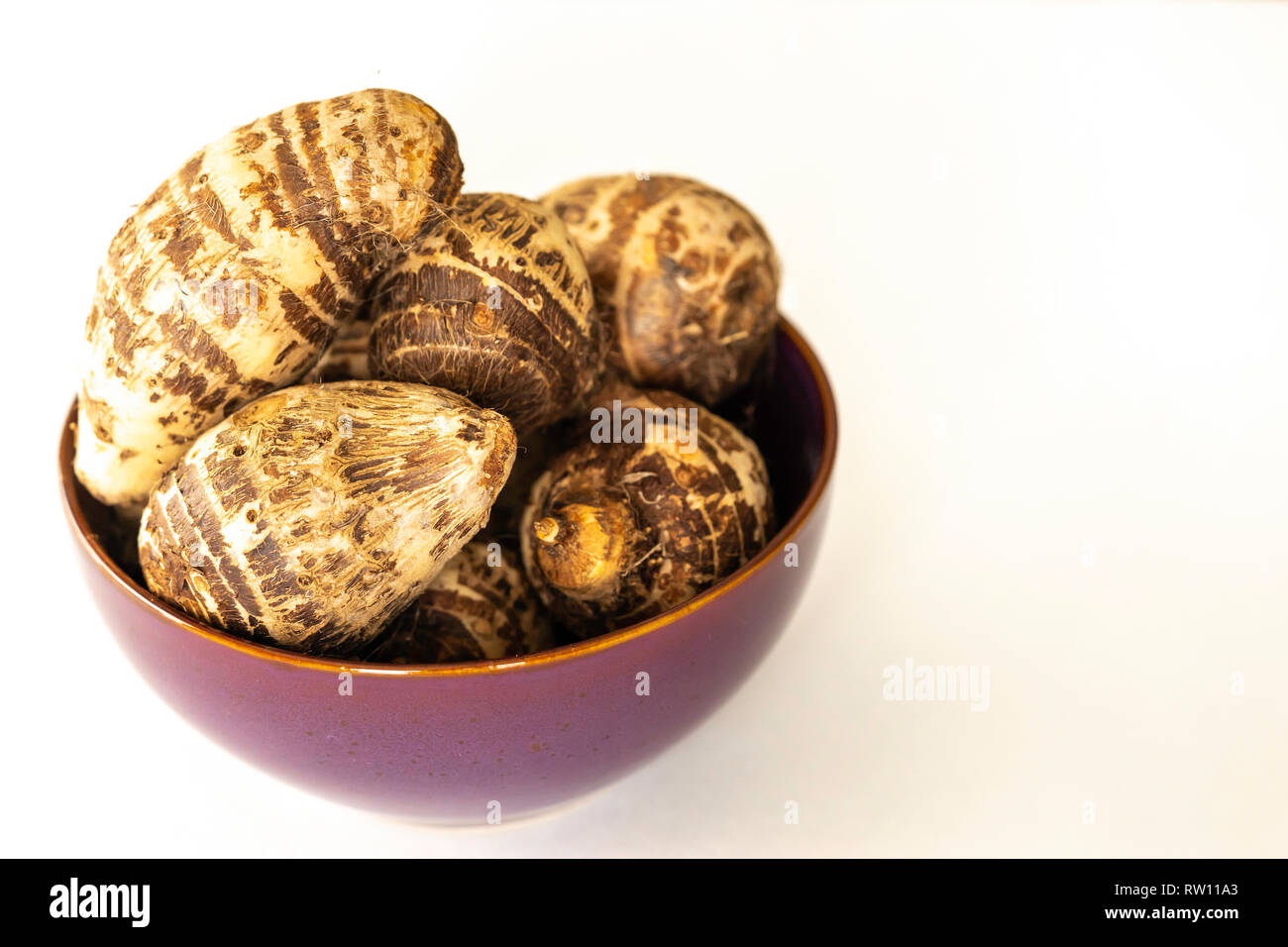 Organic fresh Nigerian Coco yam or Taro Root Stock Photo Alamy
