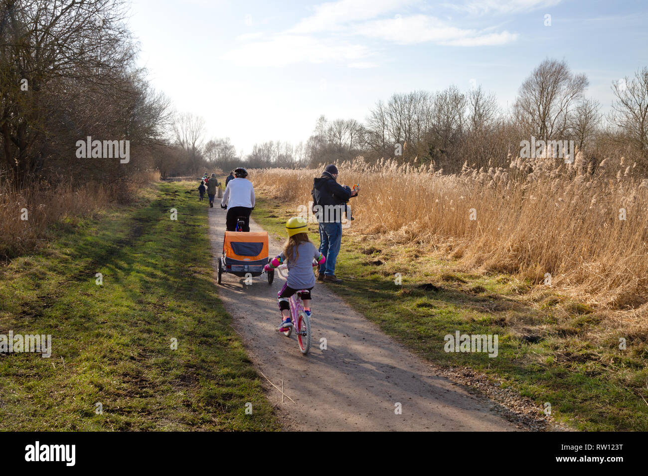 A family walking and cycling in the Cambridgeshire countryside at Wicken, East Anglia UK Stock Photo