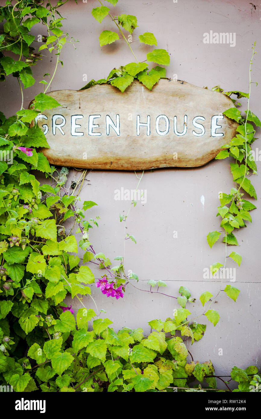 Green House sign on a wooden board surrounded by a green vine with flowers Stock Photo