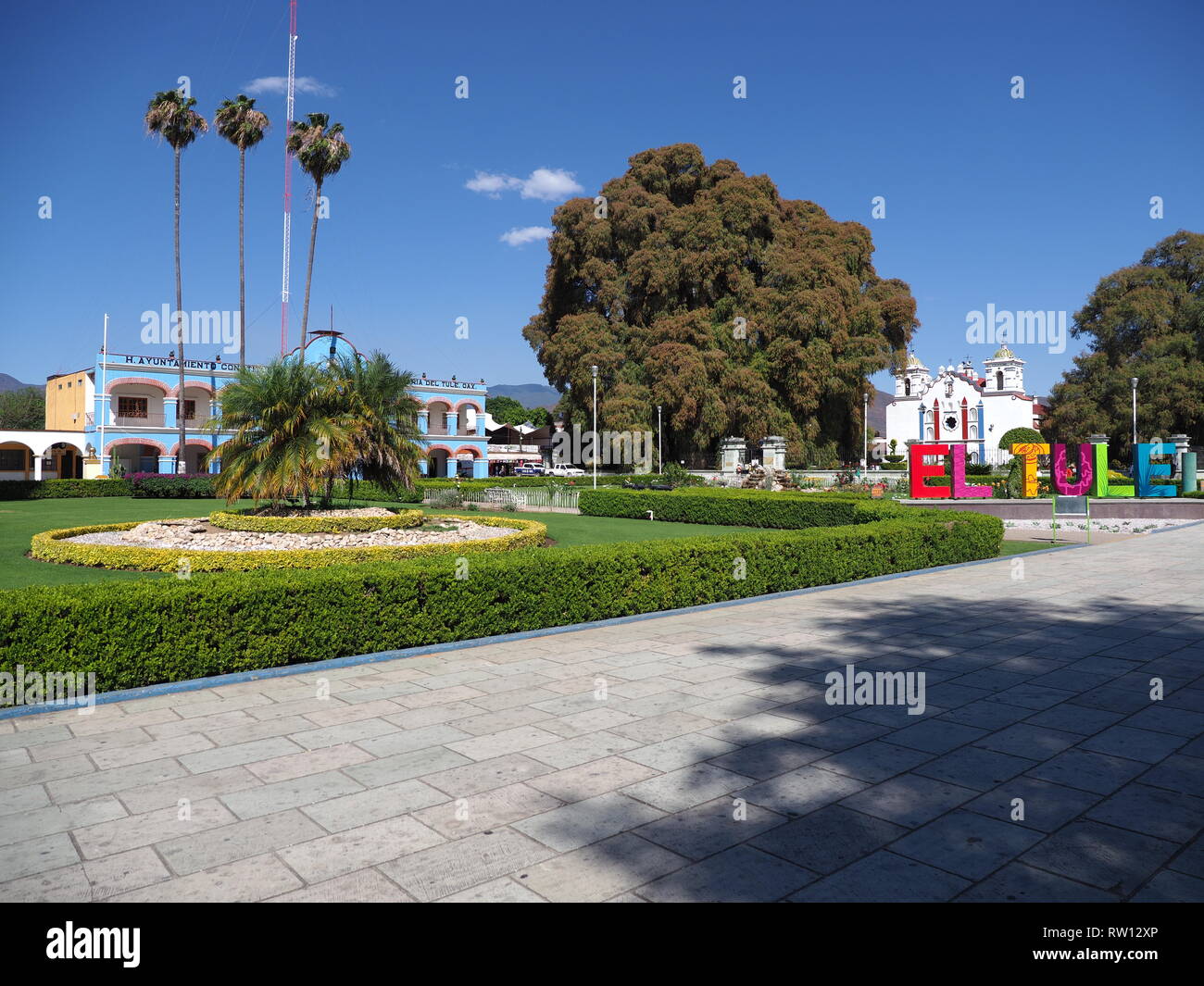 SANTA MARIA del TULE, NORTH AMERICA MEXICO on FEBRUARY 2018: Fabulous main square with town hall and cypress tree with stoutest trunk in city at Oaxac Stock Photo