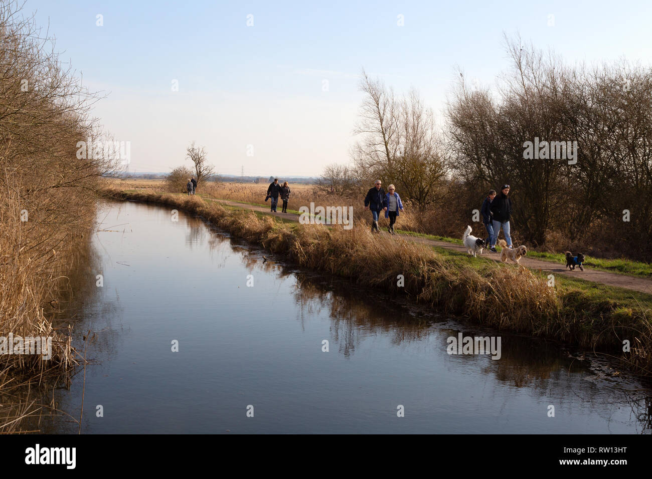 Walkers and dogs walking on a footpath by the fens, Cambridgeshire fenland, East Anglia countryside UK Stock Photo
