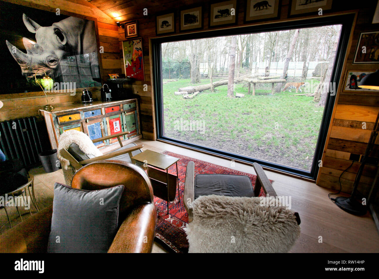 Tiger Lodge, Port Lympne Reserve, UK Stock Photo Alamy