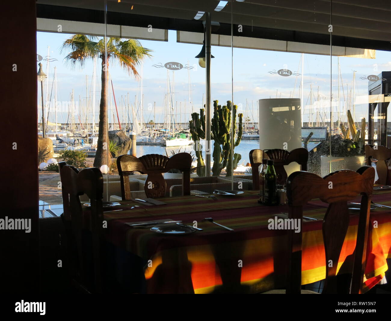 Palm casts hires stock photography and images Alamy