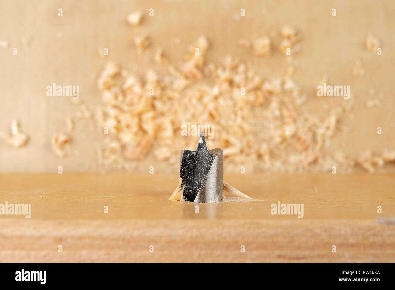Drilling a hole in wood. Wood drill and plywood in a carpentry