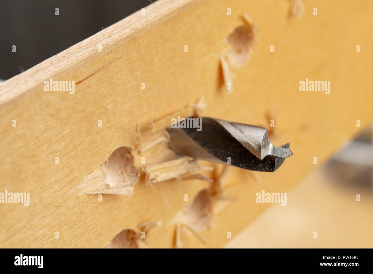 Drilling a hole in wood. Wood drill and plywood in a carpentry