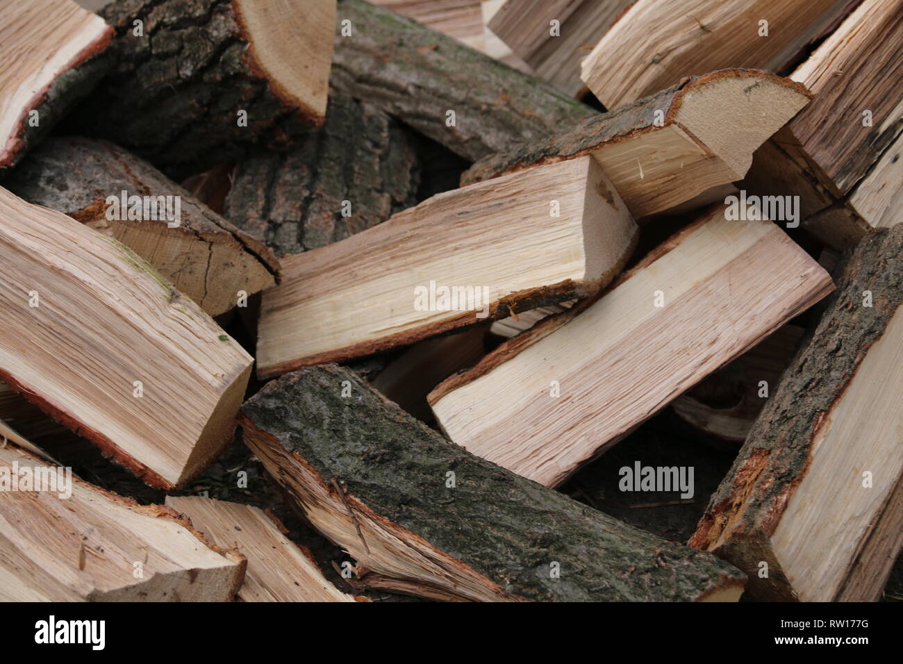 Cutted pile wood pieces Stock Photo