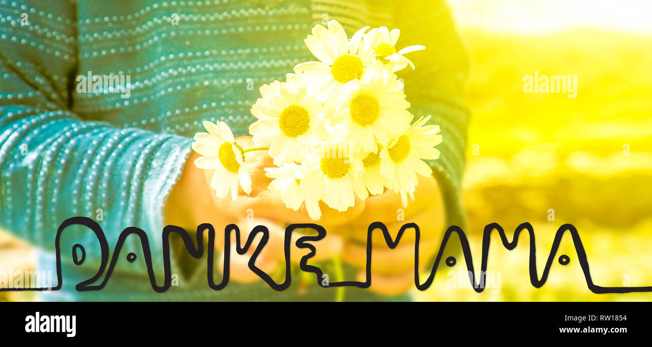 Cute Little Boy, Bouquet Daisy, Calligraphy Danke Mama Means Thank You