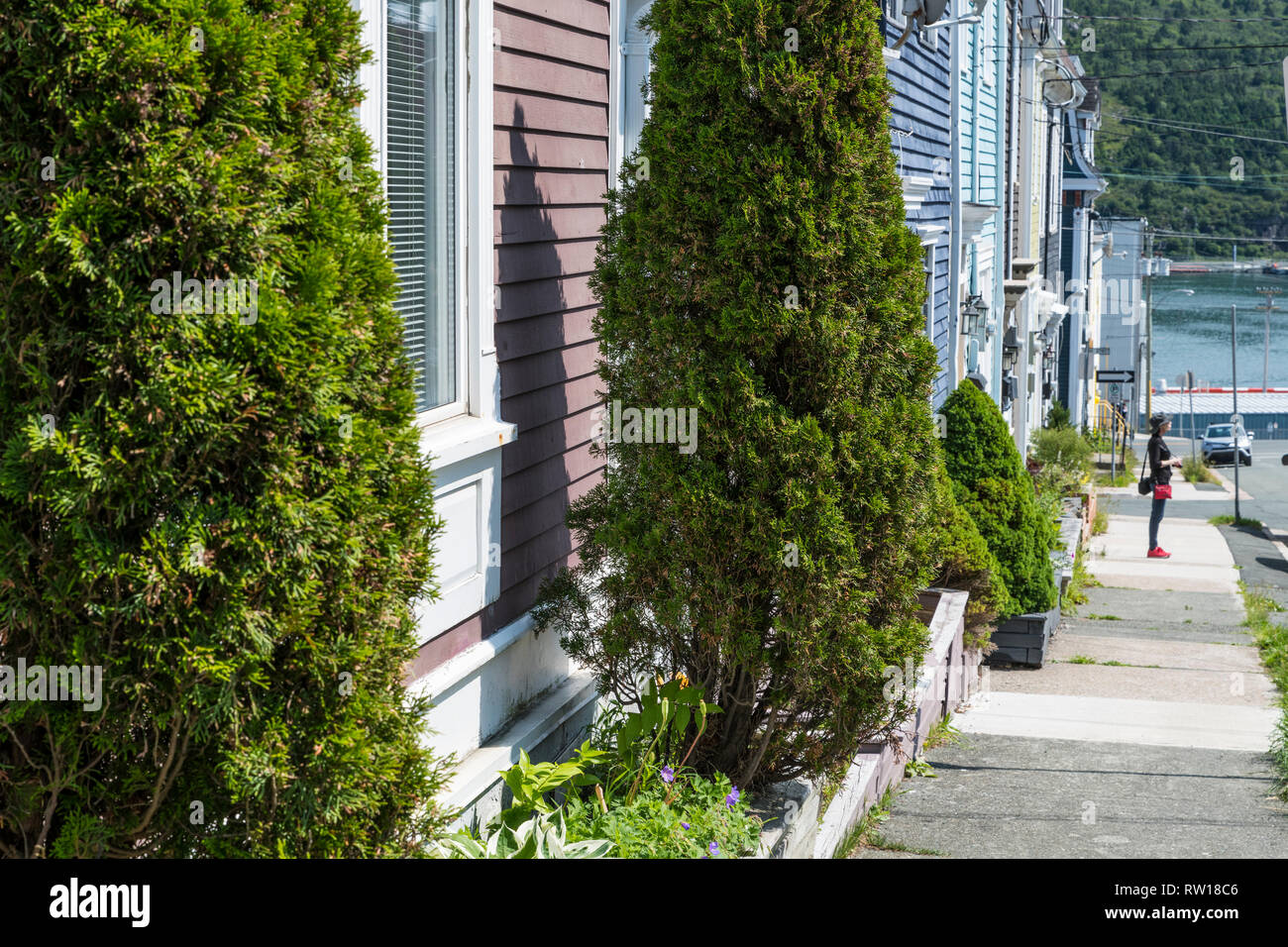 St. John's, Newfoundland, strata scene, colourful houses Stock Photo