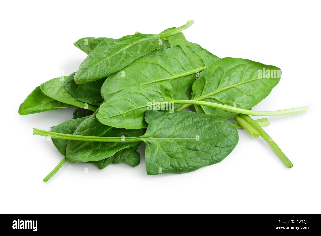 fresh spinach isolated on white background clouseup Stock Photo - Alamy