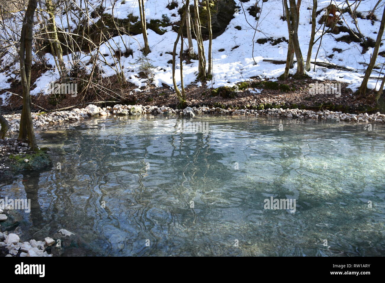 Maibachl, Winter, Wald, Villach, Thermalquelle, Quelle, Teich, Wasser, Thermalwasser, Warmbad, Warmbad Villach, Schnee, Laubbaum, kahl, Weg, Wanderweg Stock Photo