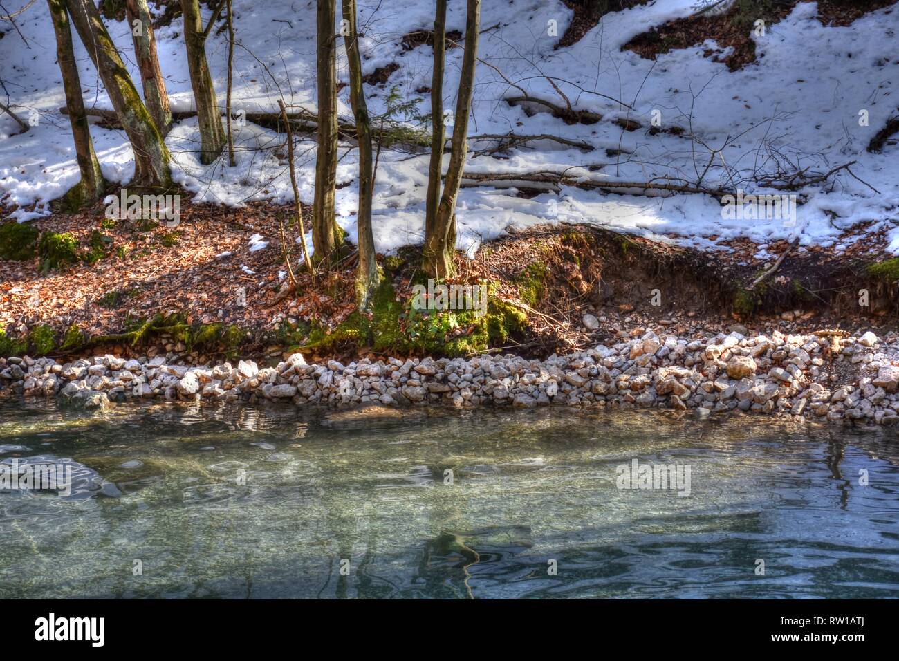 Maibachl, Winter, Wald, Villach, Thermalquelle, Quelle, Teich, Wasser