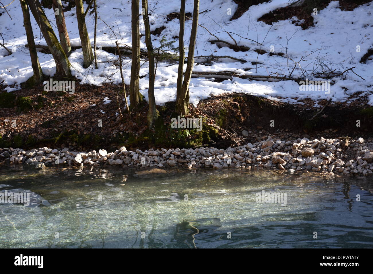 Maibachl, Winter, Wald, Villach, Thermalquelle, Quelle, Teich, Wasser