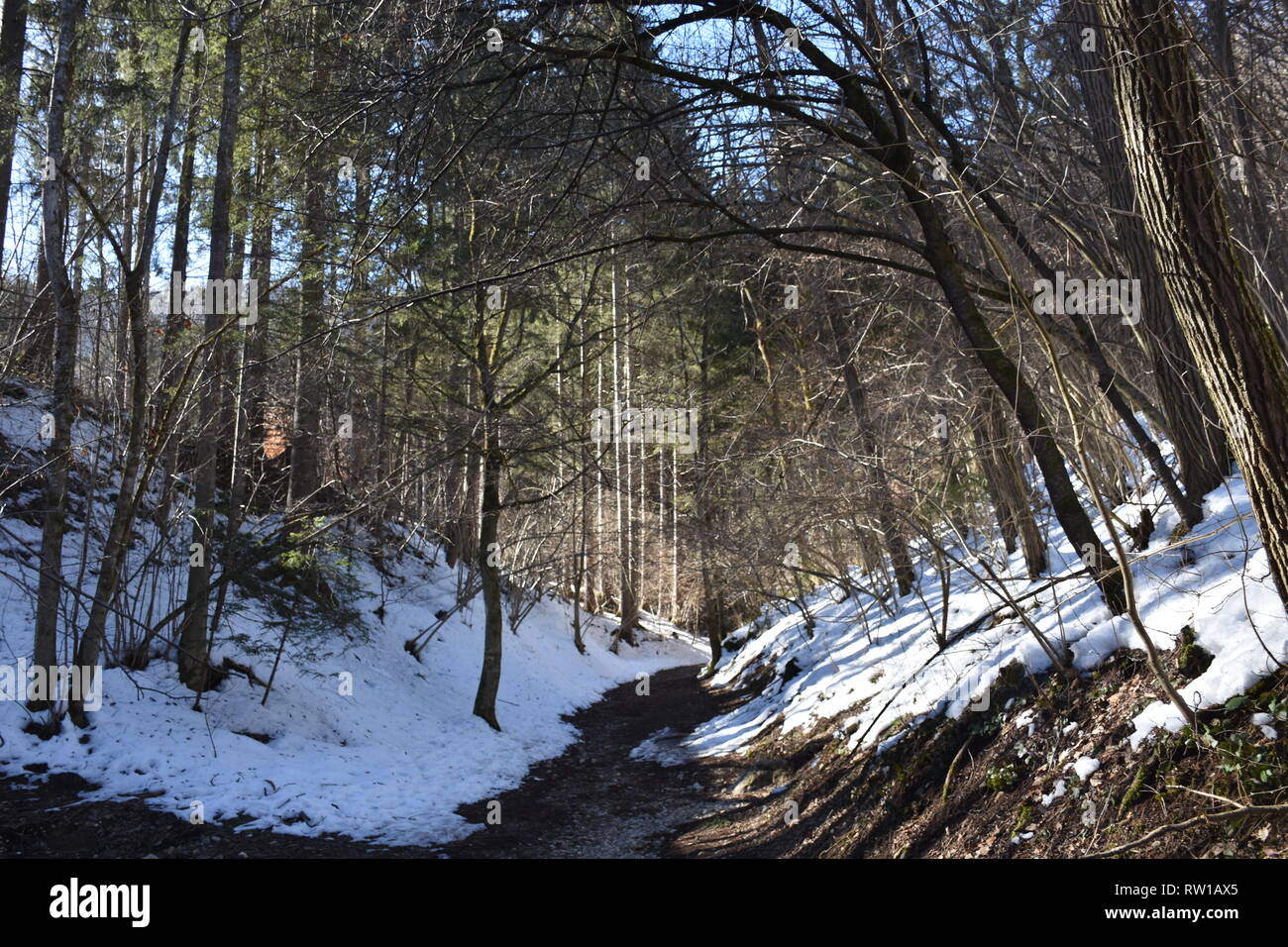 Maibachl, Winter, Wald, Villach, Thermalquelle, Quelle, Teich, Wasser