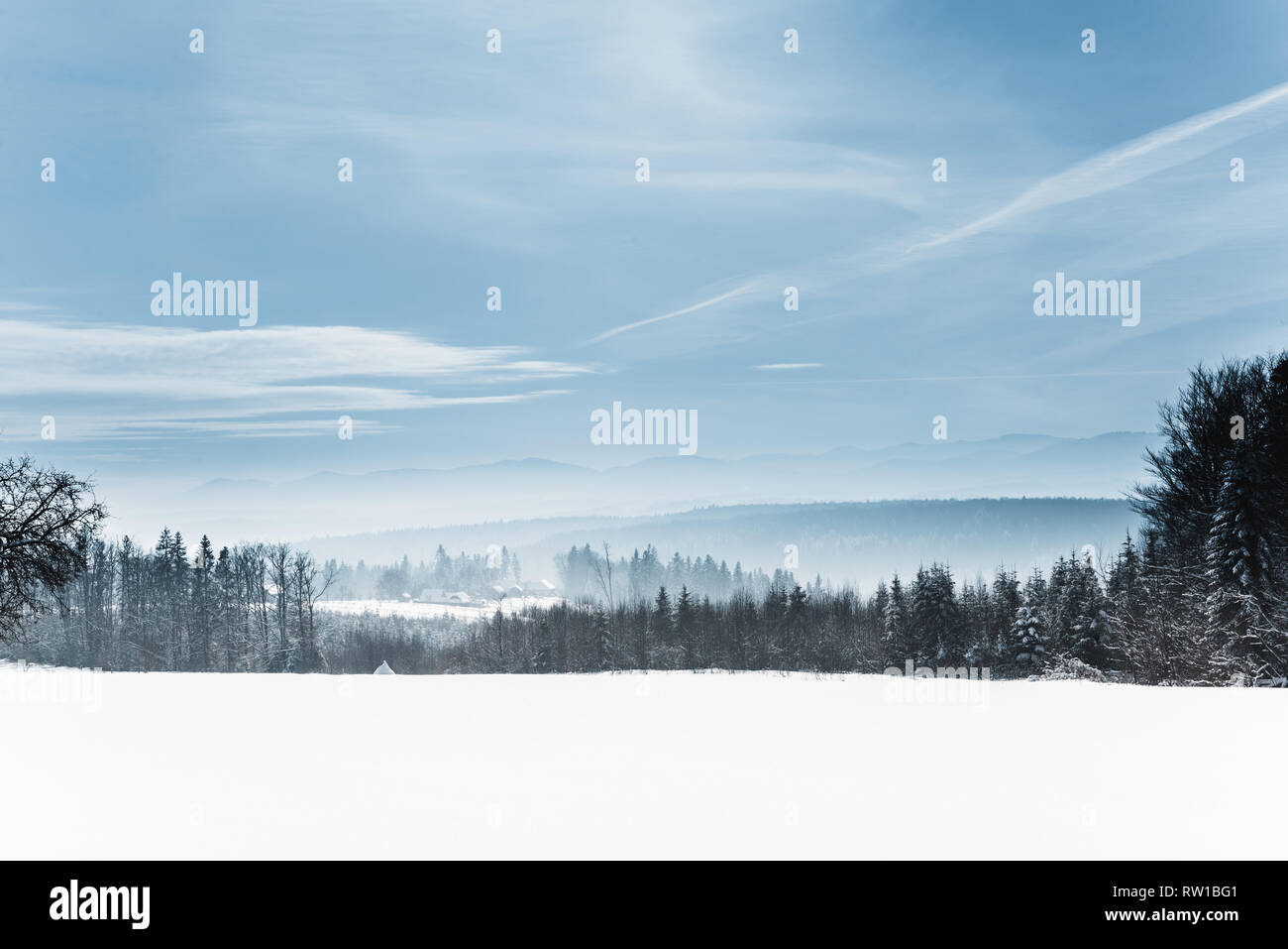 landscape with snowy white carpathian mountains and trees in winter Stock Photo