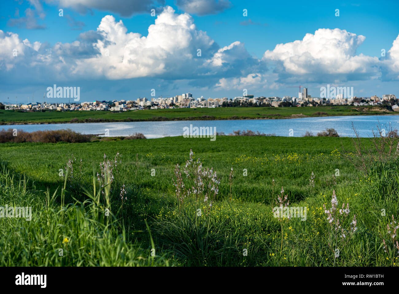 Larnaca (Larnaka) Salt lake view of Flamingos and white clouds. Green