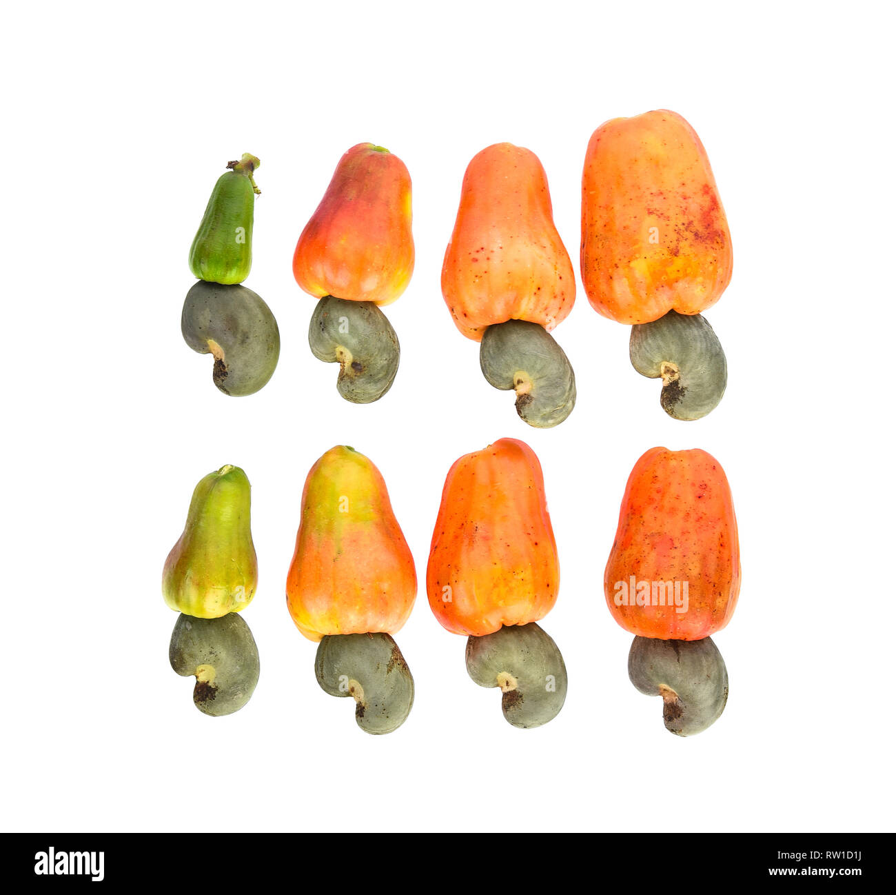 Cashew nut juice Cut Out Stock Images & Pictures Alamy