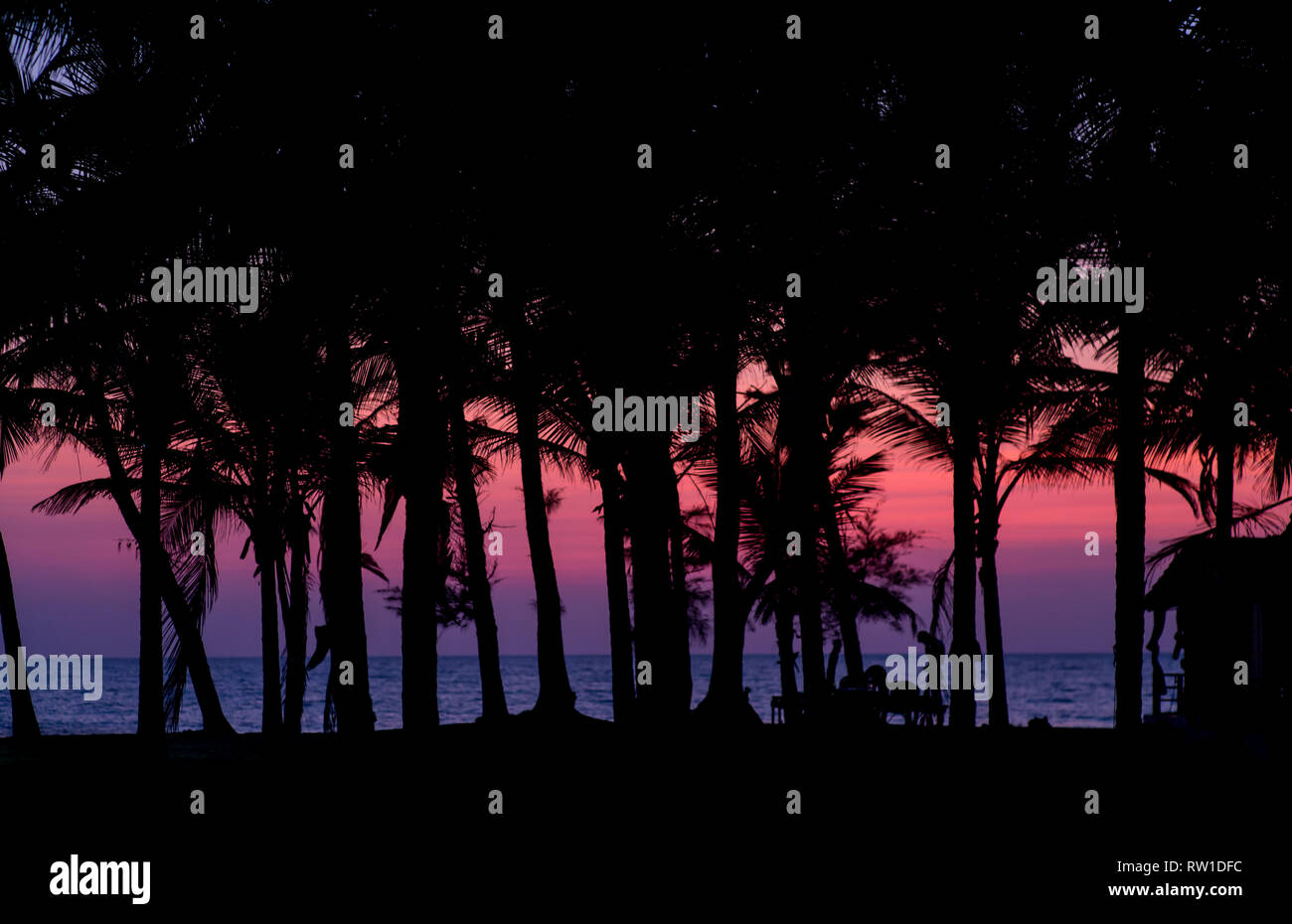 Hawaii sunset palm trees red hi-res stock photography and images - Alamy