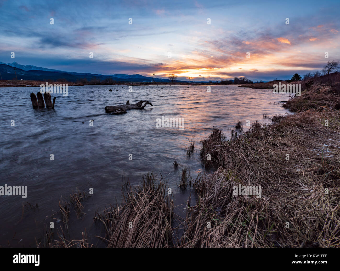 Following the Alouette river in Pitt Meadows on a cold winter morning. Stock Photo