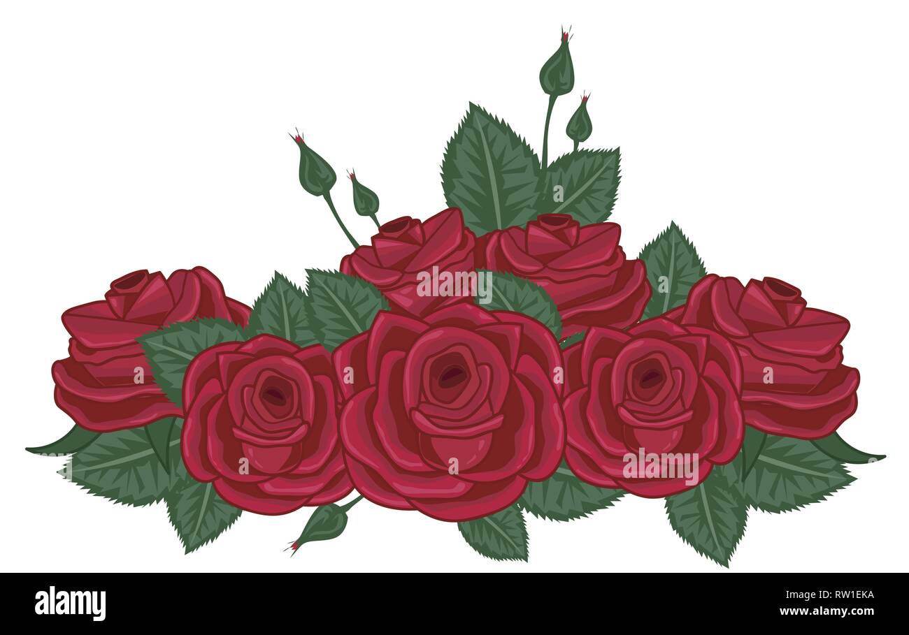 red roses vector illustration on white Stock Vector Image & Art - Alamy