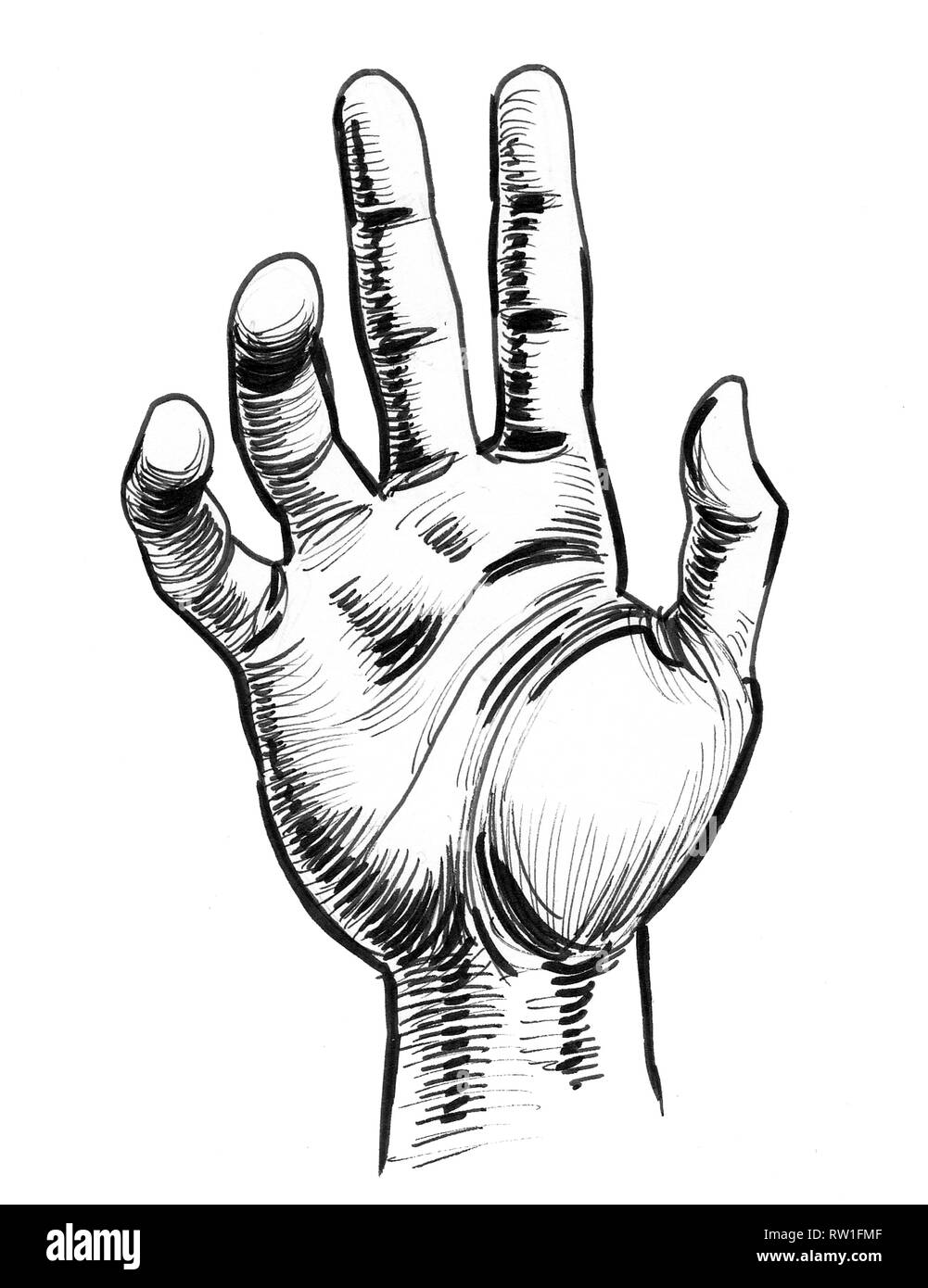 Human hand. Ink black and white drawing Stock Photo Alamy