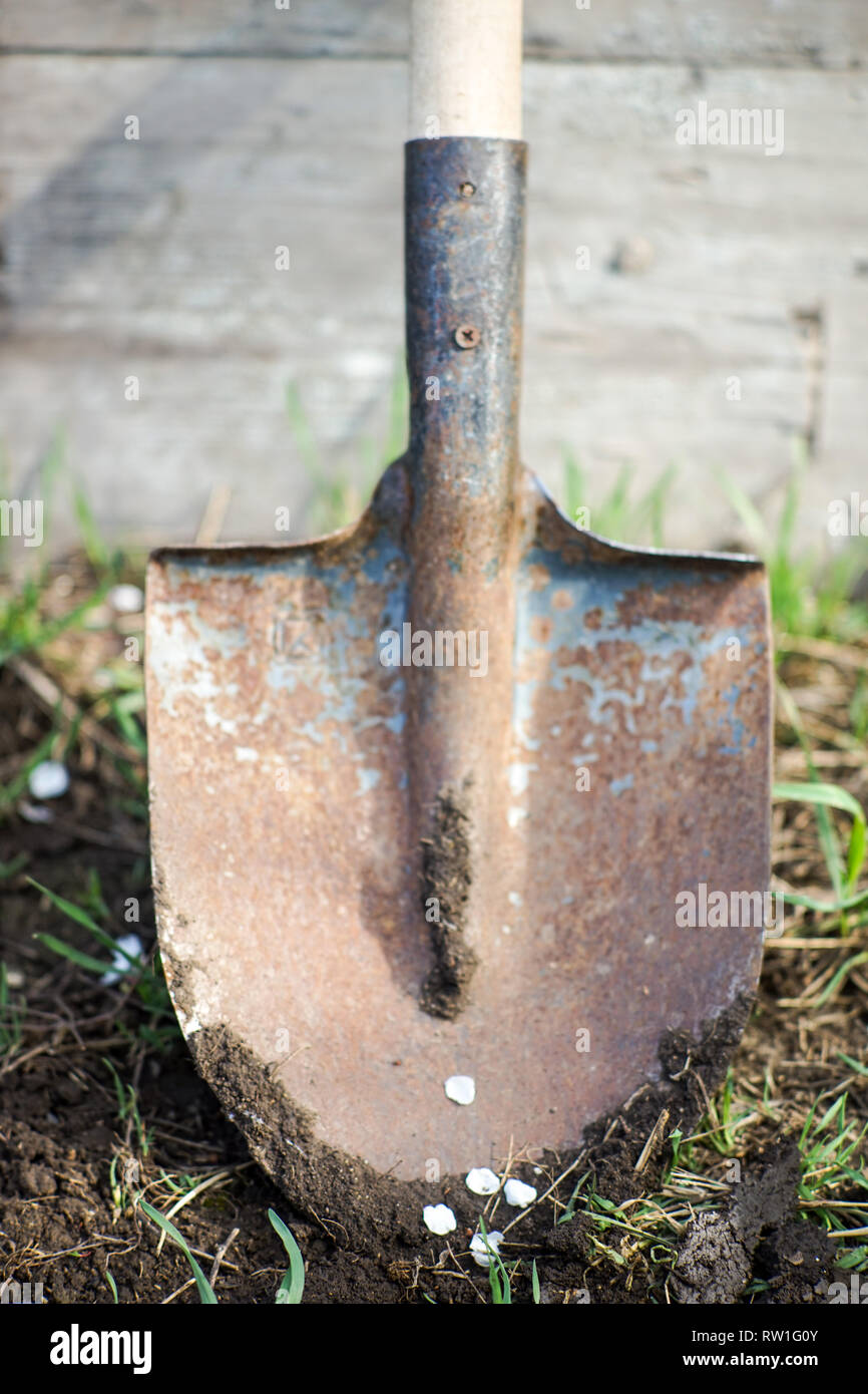 Ground breaking shovel hi-res stock photography and images - Alamy