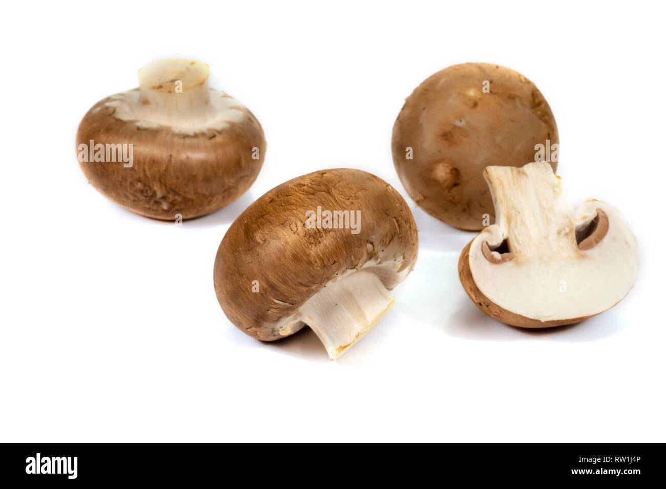Fresh whole brown (Baby Bella) mushrooms isolated on a white background Stock Photo Alamy