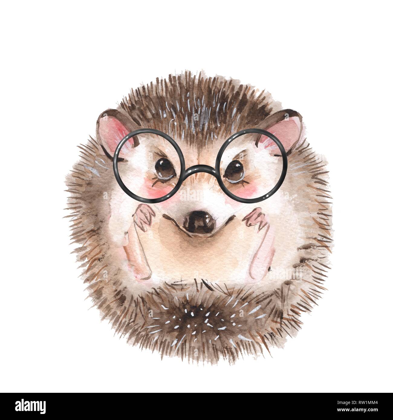 Cute hedgehog in glasses Stock Photo