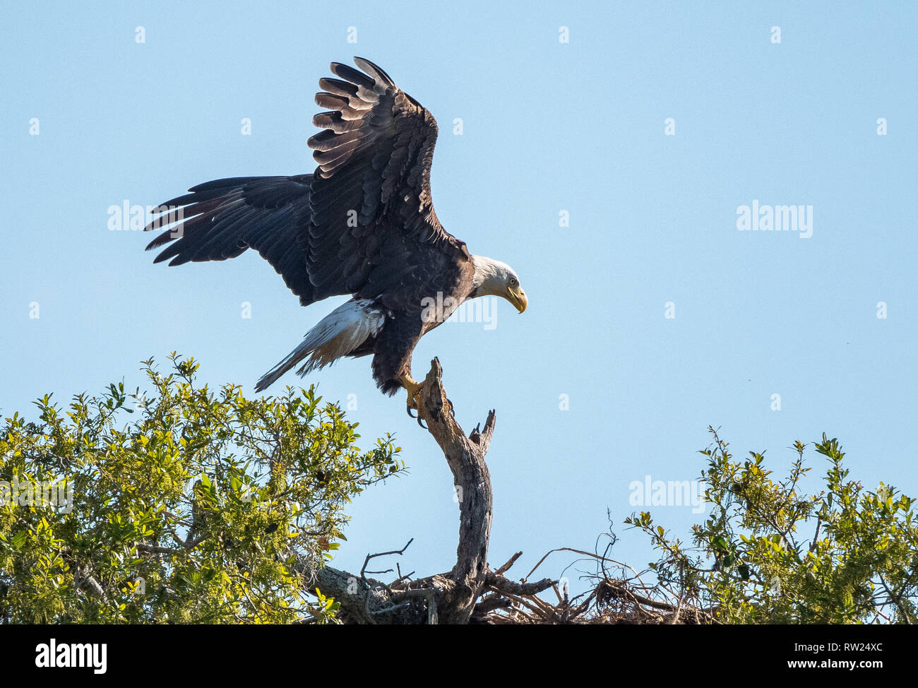 Joe Overstreet Landing Stock Photos & Joe Overstreet Landing Stock