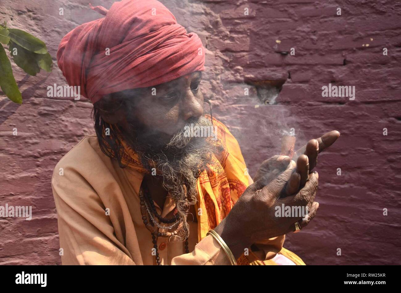 Cannabis shiva hi-res stock photography and images - Alamy